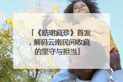 《皓珺藏珍》首发，解码云南民间收藏的坚守与担当