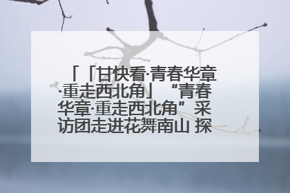 「甘快看·青春华章·重走西北角」“青春华章·重走西北角”采访团走进花舞南山 探寻天水乡村振兴之路