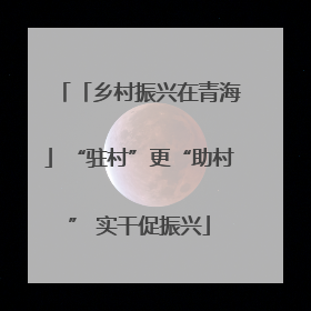 「乡村振兴在青海」“驻村”更“助村” 实干促振兴
