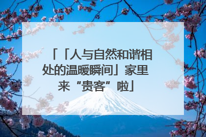 「人与自然和谐相处的温暖瞬间」家里来“贵客”啦