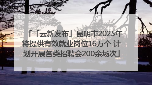 「云新发布」昆明市2025年将提供有效就业岗位16万个 计划开展各类招聘会200余场次