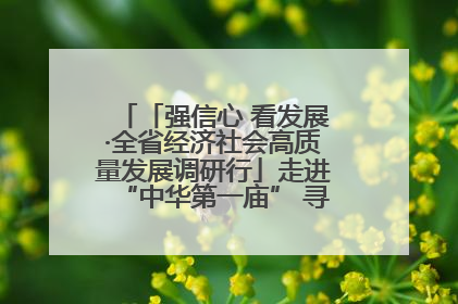 「强信心 看发展·全省经济社会高质量发展调研行」走进“中华第一庙” 寻根伏羲 祭祖龙城