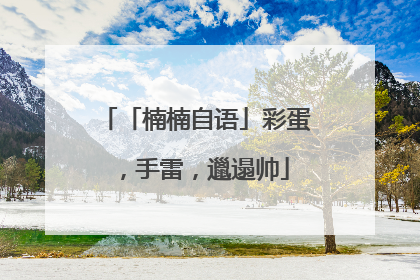 「楠楠自语」彩蛋，手雷，邋遢帅