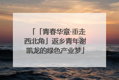 「青春华章·重走西北角」返乡青年谢凯龙的绿色产业梦