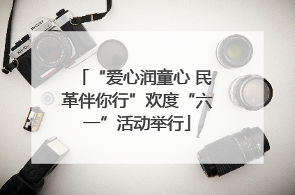 “爱心润童心 民革伴你行”欢度“六一”活动举行