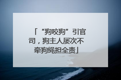 “狗咬狗”引官司，狗主人屡次不牵狗绳担全责