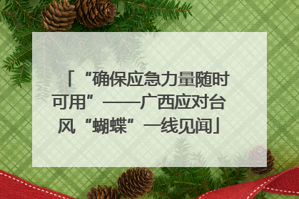 “确保应急力量随时可用”——广西应对台风“蝴蝶”一线见闻