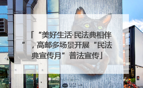“美好生活·民法典相伴”，高邮多场景开展“民法典宣传月”普法宣传