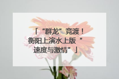 “群龙”竞渡！衡阳上演水上版“速度与激情”
