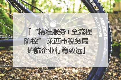 “精准服务+全流程防控” 莱西市税务局护航企业行稳致远