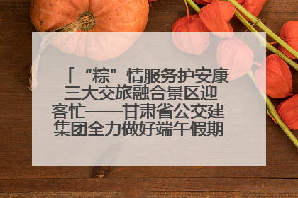“粽”情服务护安康 三大交旅融合景区迎客忙——甘肃省公交建集团全力做好端午假期景区运营工作