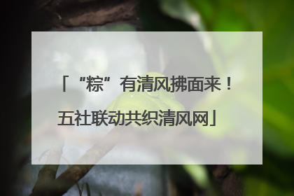 “粽”有清风拂面来！五社联动共织清风网