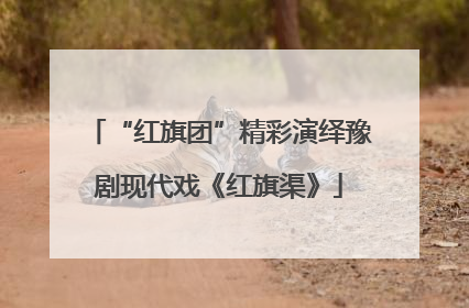 “红旗团”精彩演绎豫剧现代戏《红旗渠》