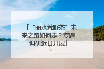 “丽水荒野茶”未来之路如何走？专题调研近日开展