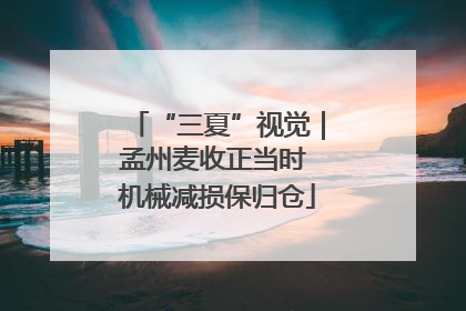 “三夏”视觉｜孟州麦收正当时 机械减损保归仓