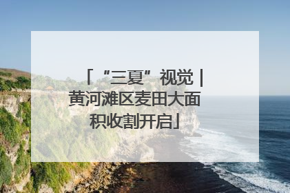 “三夏”视觉｜黄河滩区麦田大面积收割开启