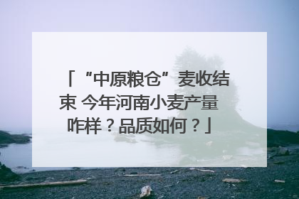 “中原粮仓”麦收结束 今年河南小麦产量咋样？品质如何？