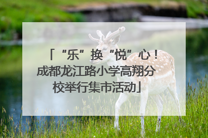 “乐”换“悦”心！成都龙江路小学高翔分校举行集市活动