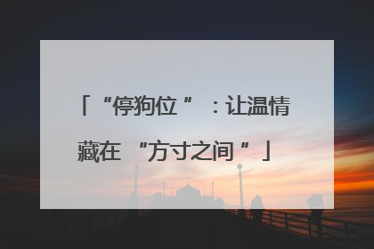 “停狗位 ”：让温情藏在 “方寸之间 ”