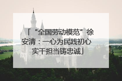 “全国劳动模范”徐安清：一心为民践初心 实干担当铸忠诚