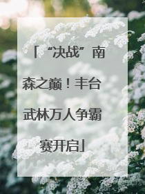 “决战”南森之巅！丰台武林万人争霸赛开启