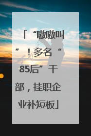 “嗷嗷叫”！多名“85后”干部，挂职企业补短板