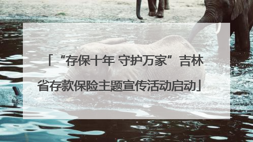 “存保十年 守护万家”吉林省存款保险主题宣传活动启动