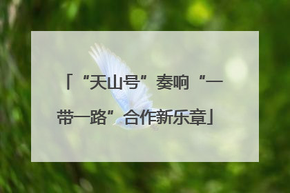 “天山号”奏响“一带一路”合作新乐章