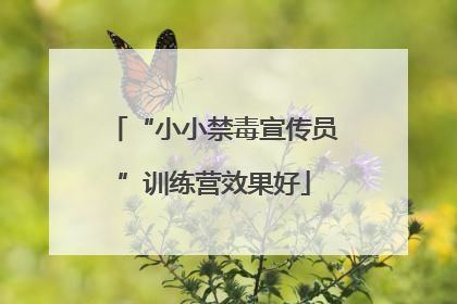“小小禁毒宣传员”训练营效果好