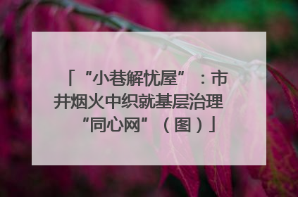 “小巷解忧屋”：市井烟火中织就基层治理“同心网”（图）