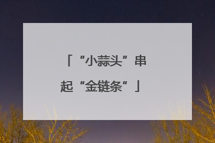 “小蒜头”串起“金链条”
