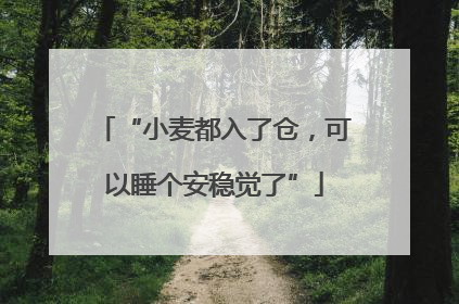 “小麦都入了仓，可以睡个安稳觉了”