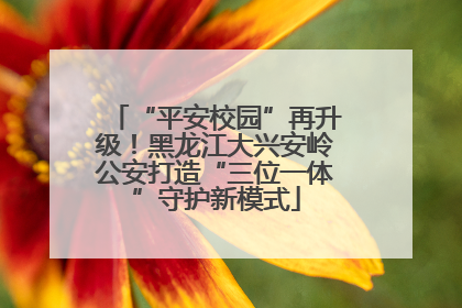 “平安校园”再升级！黑龙江大兴安岭公安打造“三位一体”守护新模式