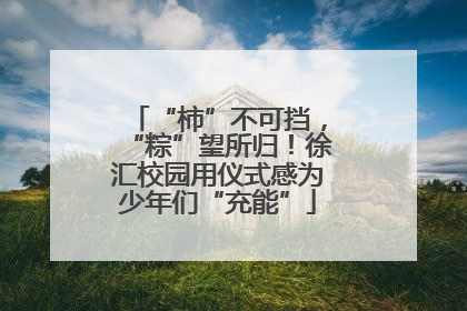 “柿”不可挡，“粽”望所归！徐汇校园用仪式感为少年们“充能”