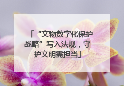 “文物数字化保护战略”写入法规，守护文明需担当