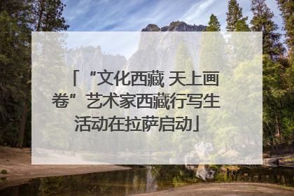 “文化西藏 天上画卷”艺术家西藏行写生活动在拉萨启动