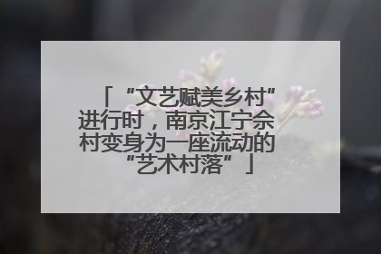 “文艺赋美乡村”进行时，南京江宁佘村变身为一座流动的“艺术村落”