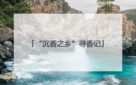 “沉香之乡”寻香记