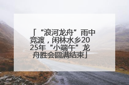 “浪河龙舟”雨中竞渡，闲林水乡2025年“小端午”龙舟胜会圆满结束