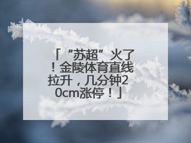 “苏超”火了！金陵体育直线拉升，几分钟20cm涨停！