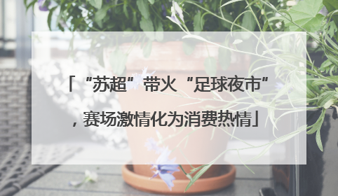 “苏超”带火“足球夜市”，赛场激情化为消费热情