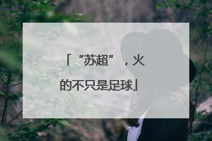 “苏超”，火的不只是足球