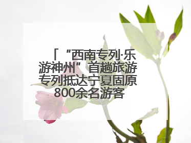 “西南专列·乐游神州”首趟旅游专列抵达宁夏固原 800余名游客开启清凉之旅