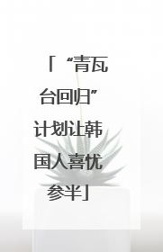 “青瓦台回归”计划让韩国人喜忧参半