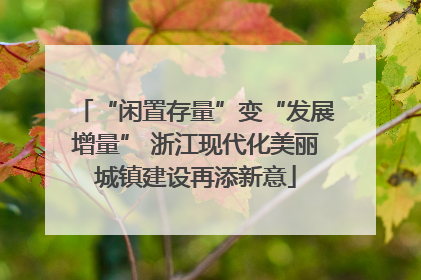 “闲置存量”变“发展增量” 浙江现代化美丽城镇建设再添新意