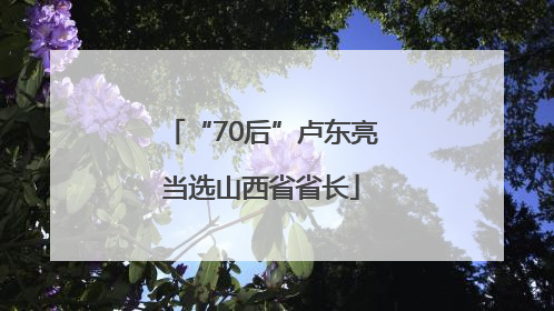 “70后”卢东亮当选山西省省长