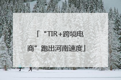 “TIR+跨境电商”跑出河南速度
