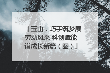 玉山：巧手筑梦展劳动风采 科创赋能谱成长新篇（图）