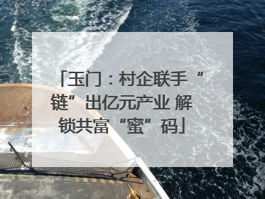 玉门：村企联手“链”出亿元产业 解锁共富“蜜”码