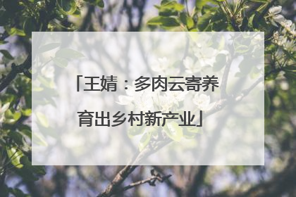 王婧：多肉云寄养 育出乡村新产业